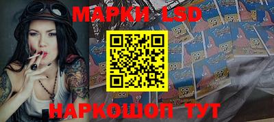 индика Ставрополь