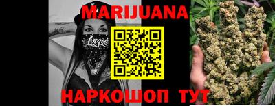 индика Ставрополь
