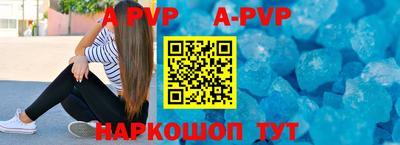 индика Ставрополь