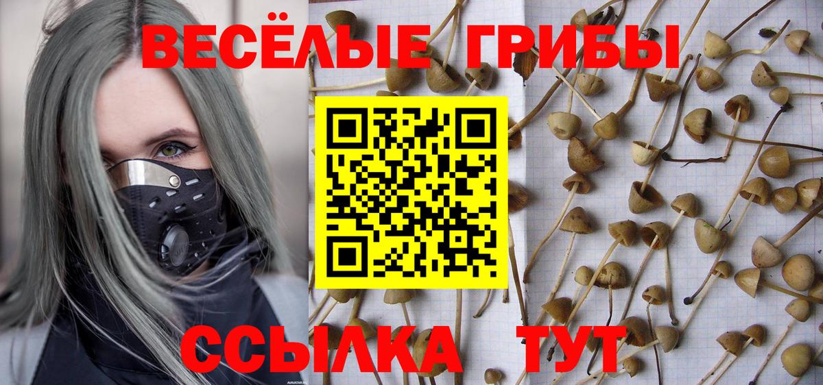 Псилоцибиновые грибы мицелий  Вход с VPN  Новотроицк 
